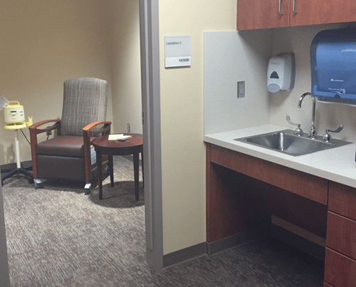 Lactation_Sink